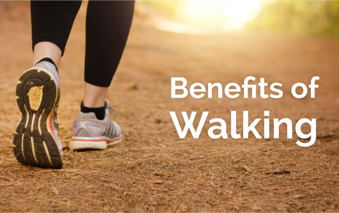 Why is walking the best form of exercise - Sukino