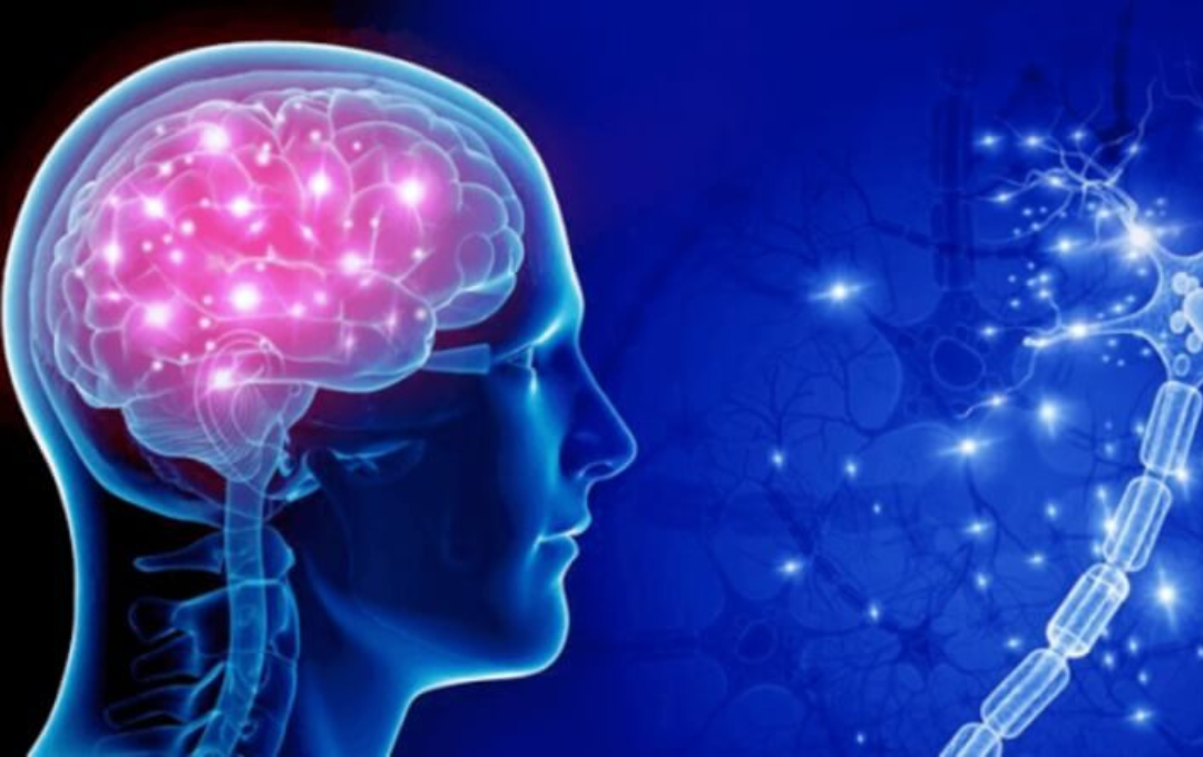 Vital Timeframe in Stroke Treatment
