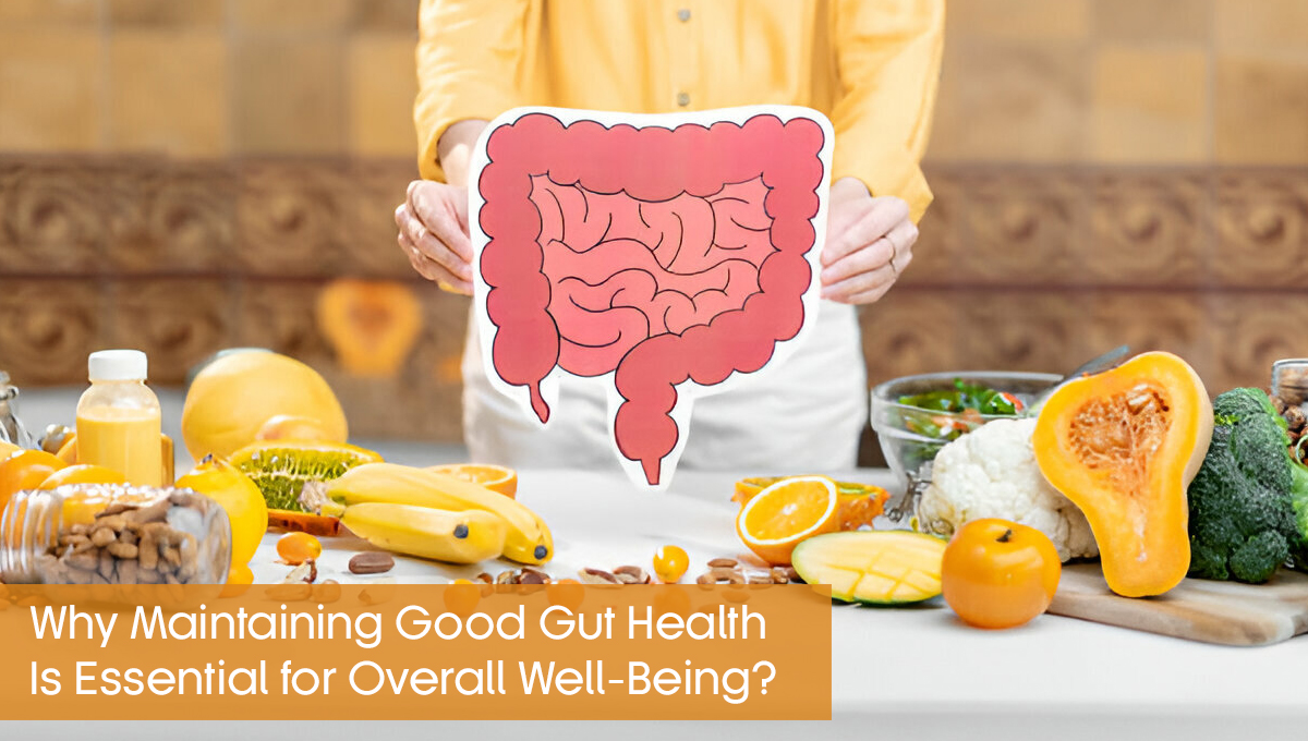 Why is maintaining good gut health essential for overall well being