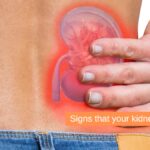 Signs that your kidneys are unwell Sukino
