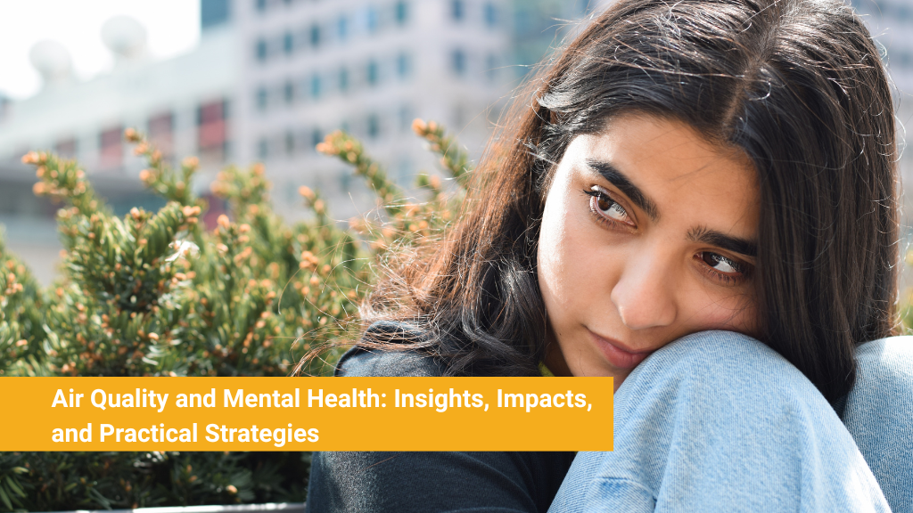 Air Quality and Mental Health_ Insights, Impacts, and Practical Strategies