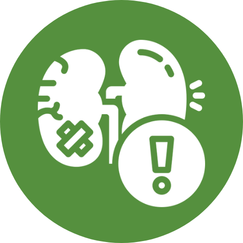 Nephrology Rehabilitation