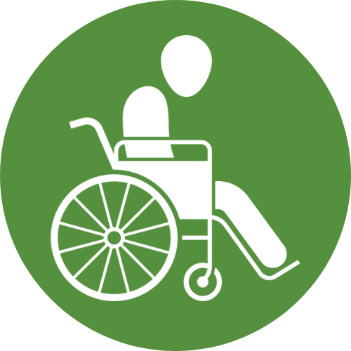 Paralysis Rehabilitation